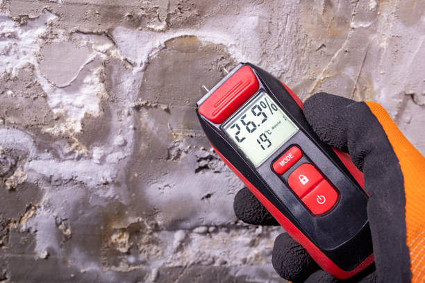 Mold Removal Process in Westmoreland, TN
