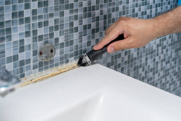 Best Mold Remediation Experts  in Westmoreland, TN